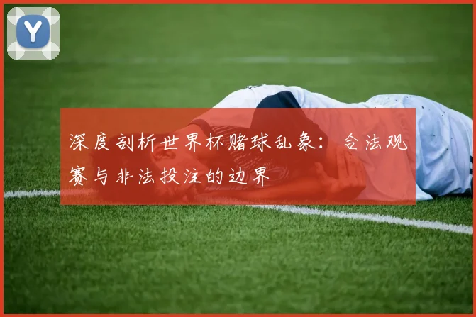深度剖析世界杯赌球乱象：合法观赛与非法投注的边界